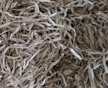 ylika-suskeuasias-image-top-003